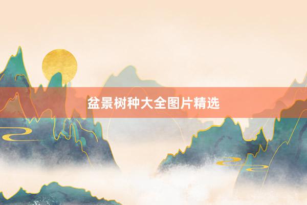 盆景树种大全图片精选